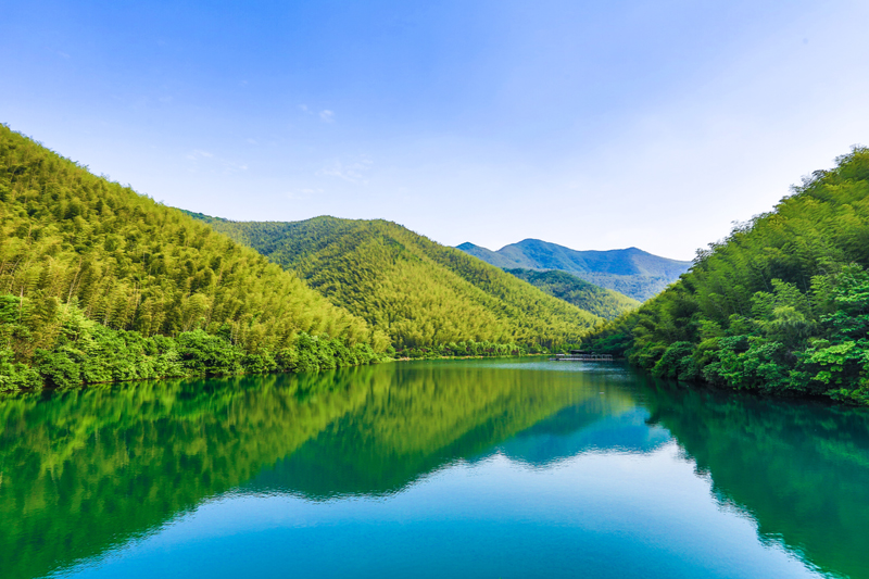 南山竹海景区(图1)